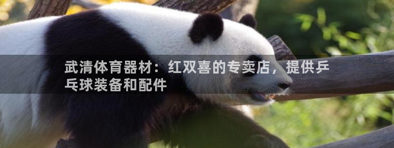 富联娱乐登录注册入口官网下载安卓：武清体育器材：红双