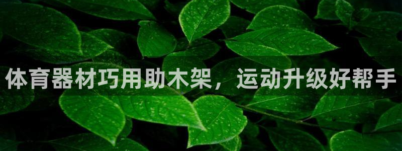 富联娱乐平台开户流程图：体育器材巧用助木架，运动升级