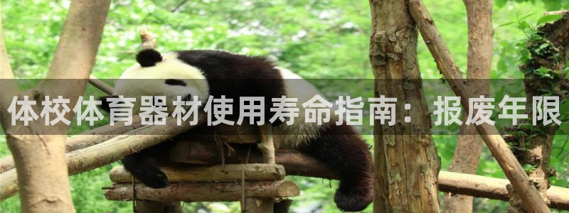 富联娱乐够7O777：体校体育器材使用寿命指南：报废