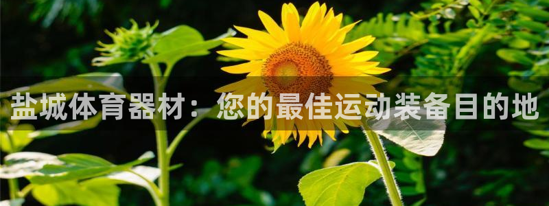 富联娱乐革7O777：盐城体育器材：您的最佳运动装备