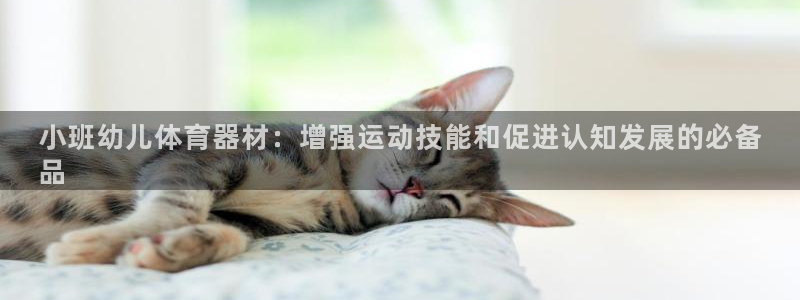 富联娱乐老板是哪里人：小班幼儿体育器材：增强运动技能