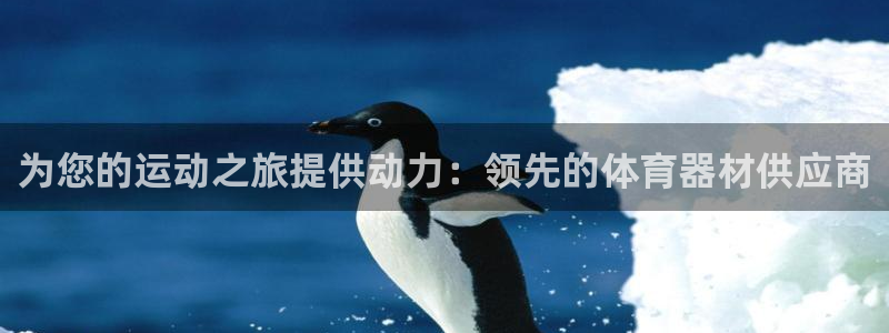 富联平台登陆：为您的运动之旅提供动力：领先的体育器材