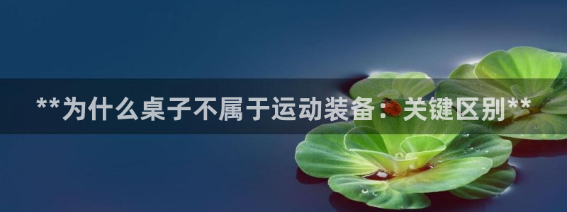 富联展示中心：**为什么桌子不属于运动装备：关键区别