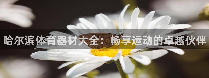 富联股份股票代码：哈尔滨体育器材大全：畅享运动的卓越