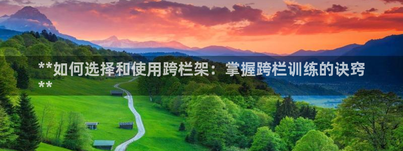 富联官网登陆：**如何选择和使用跨栏架：掌握跨栏训练