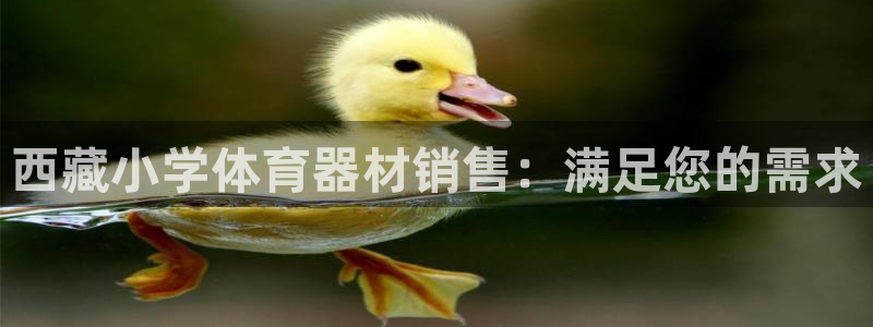 富联娱乐会员：西藏小学体育器材销售：满足您的需求