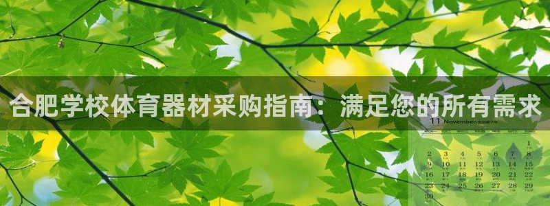 香港富联国际集团：合肥学校体育器材采购指南：满足您的