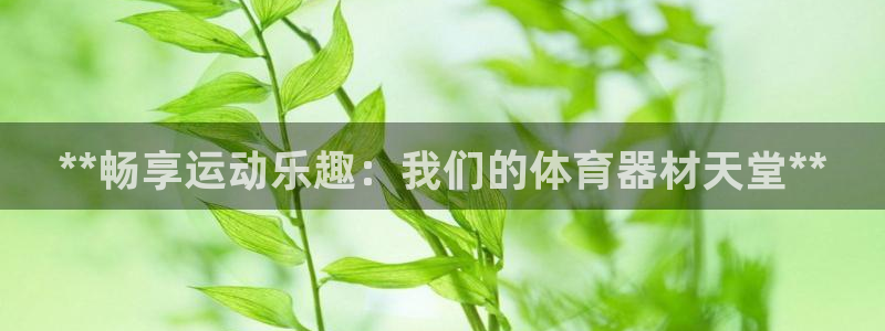 富联平台节7O777：**畅享运动乐趣：我们的体育器