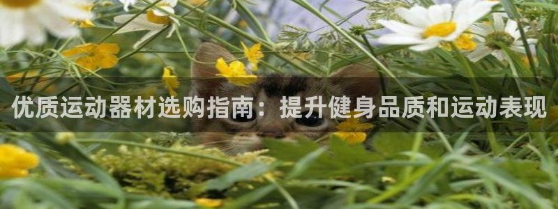 富联娱乐马 411O31 娱乐：优质运动器材选购指南