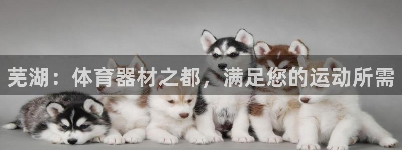 富联官网授权店铺查询：芜湖：体育器材之都，满足您的运