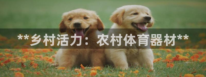 富联平台登录注册不了：**乡村活力：农村体育器材**