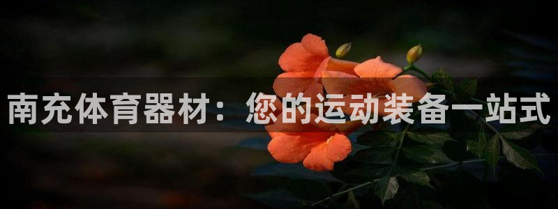 富联娱乐在线注册链接怎么弄：南充体育器材：您的运动装
