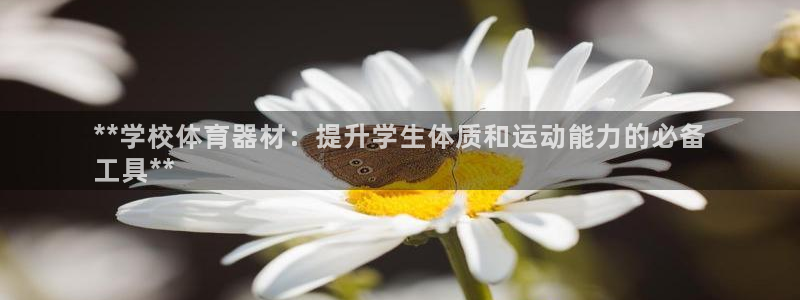 富联娱乐：**学校体育器材：提升学生体质和运动能力的
