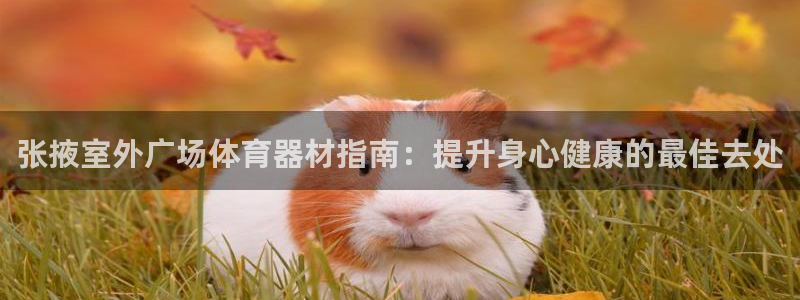 富联平台界7O777：张掖室外广场体育器材指南：提升