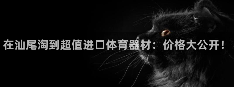 富联平台注册登录不了：在汕尾淘到超值进口体育器材：价