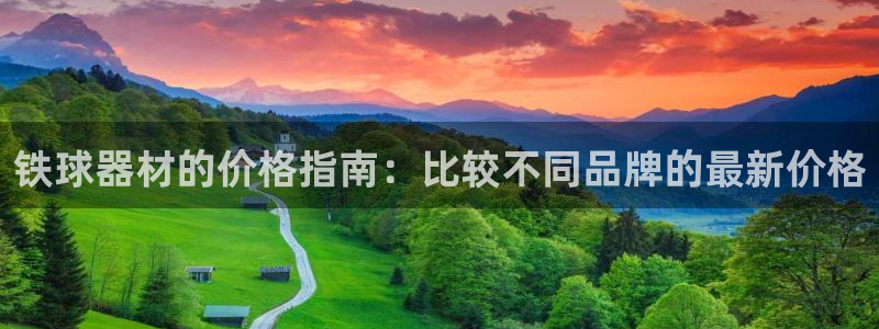 富联网是什么意思：铁球器材的价格指南：比较不同品牌的