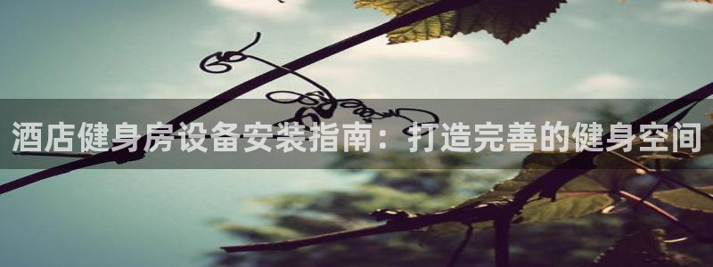 富联官方网站入口：酒店健身房设备安装指南：打造完善的