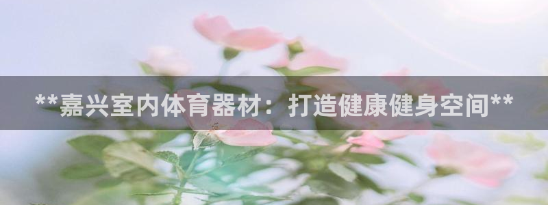 富联通讯招聘：**嘉兴室内体育器材：打造健康健身空间
