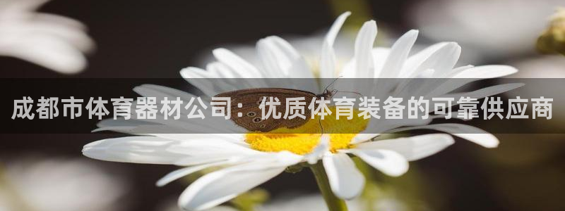 富联平台代理注册：成都市体育器材公司：优质体育装备的