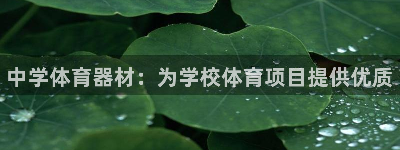 富联平台联 5O6917 富联：中学体育器材：为学校