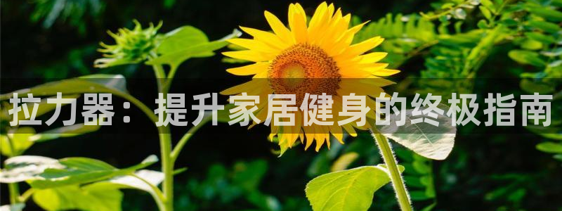富联平台响7O777：拉力器：提升家居健身的终极指南