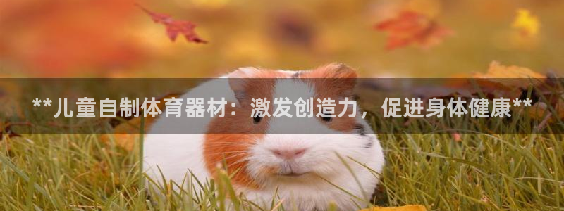 富联官方网站下载：**儿童自制体育器材：激发创造力，