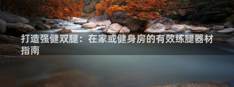 富联是什么：打造强健双腿：在家或健身房的有效练腿器材