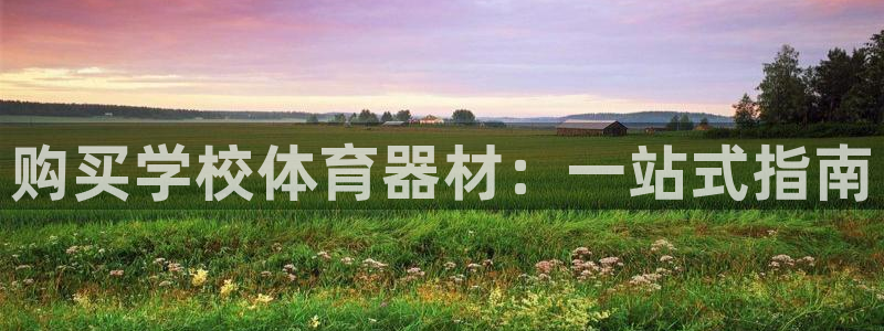 富联娱乐马 411O31 娱乐：购买学校体育器材：一