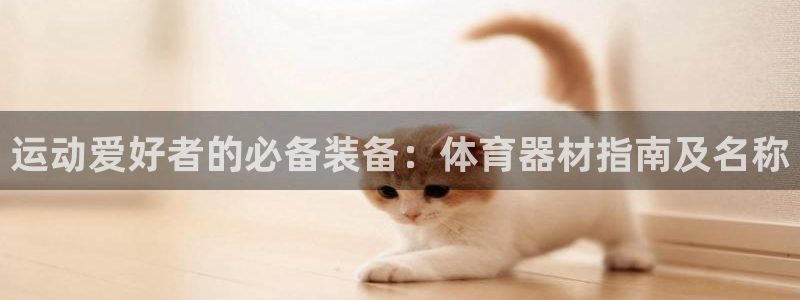 富联娱乐老板是哪里人：运动爱好者的必备装备：体育器材