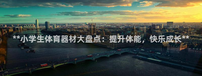 富联平台官网登录：**小学生体育器材大盘点：提升体能
