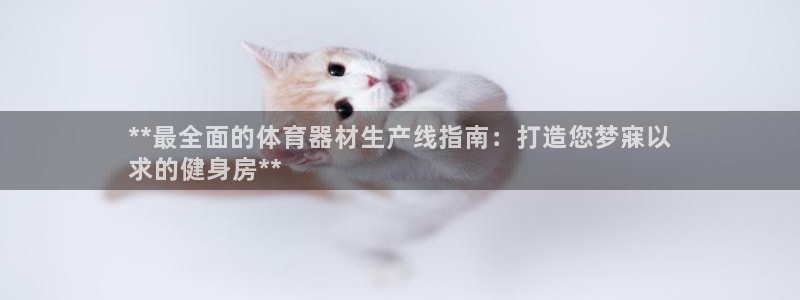 富联超市：**最全面的体育器材生产线指南：打造您梦寐