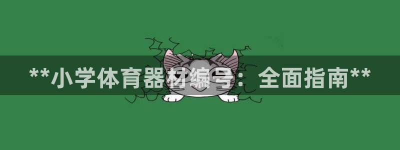 富联娱乐会员有什么用：**小学体育器材编号：全面指南