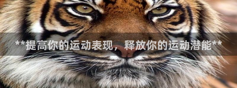 富联商厦：**提高你的运动表现，释放你的运动潜能**