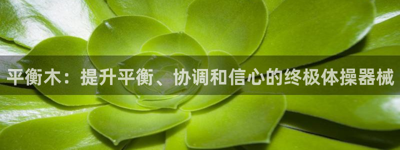 中国富联股票行情：平衡木：提升平衡、协调和信心的终极