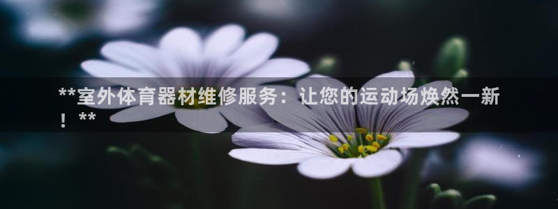 富联娱乐登录地址在哪里：**室外体育器材维修服务：让