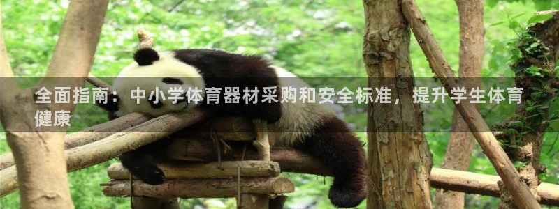 富联平台安装：全面指南：中小学体育器材采购和安全标准