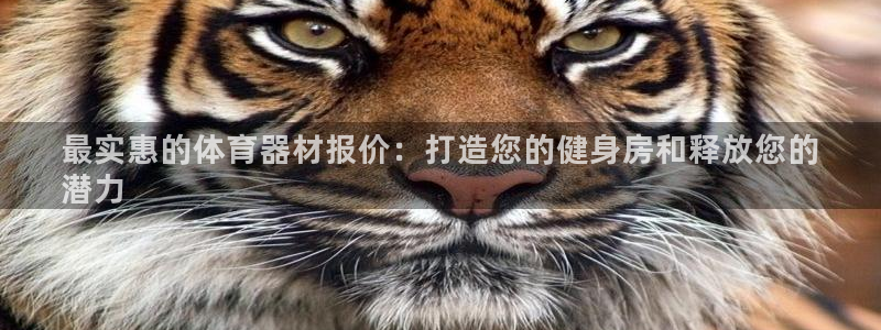 富联平台开户流程：最实惠的体育器材报价：打造您的健身