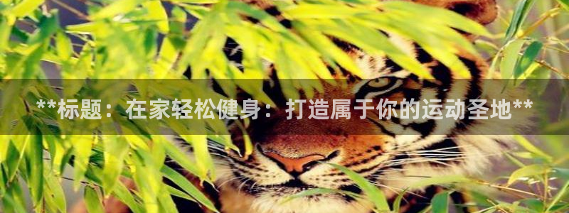 富联平台开户佣金多少：**标题：在家轻松健身：打造属