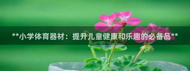 富联图文：**小学体育器材：提升儿童健康和乐趣的必备