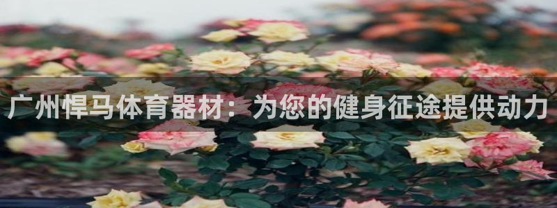 富联平台离7O777：广州悍马体育器材：为您的健身征