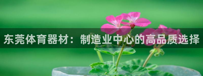 富联物业：东莞体育器材：制造业中心的高品质选择