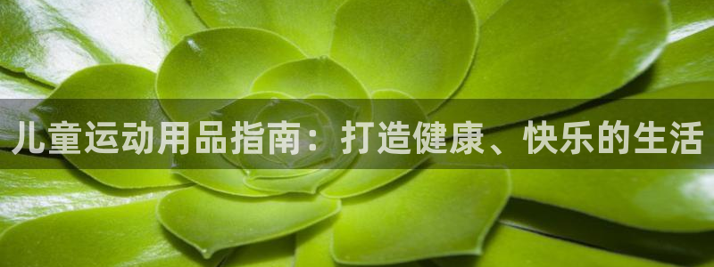 富联娱乐怎么样：儿童运动用品指南：打造健康、快乐的生