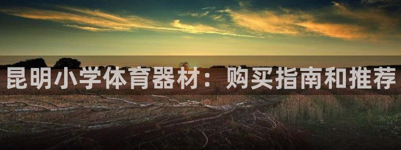 富联娱乐负责人电话：昆明小学体育器材：购买指南和推荐