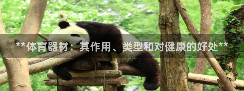 富联集团做什么的呀：**体育器材：其作用、类型和对健