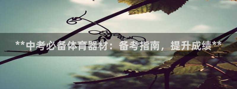 富联娱乐官方网站首页入口：**中考必备体育器材：备考