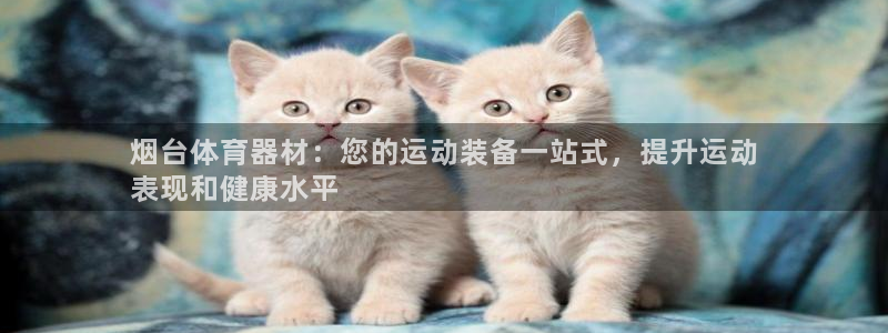 富联娱乐待 411o31 娱乐：烟台体育器材：您的运