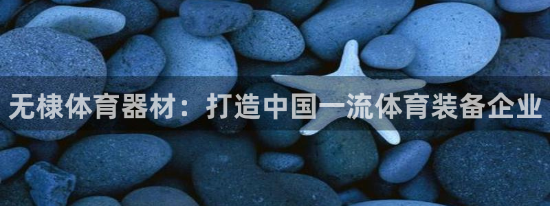 富联平台挂机：无棣体育器材：打造中国一流体育装备企业