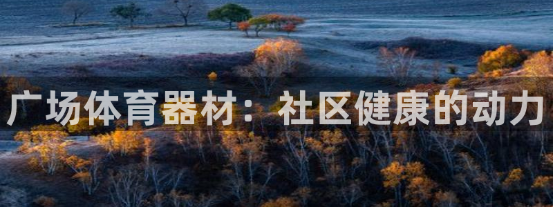 富联娱乐测速地址查询：广场体育器材：社区健康的动力