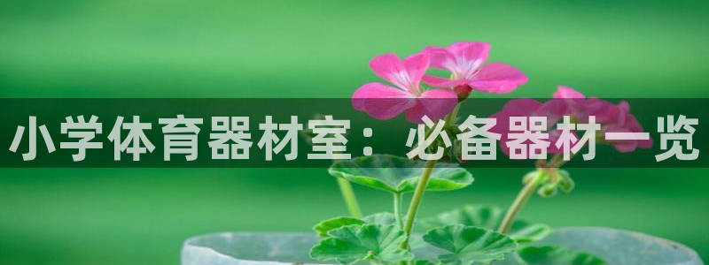 富联娱乐平台开户流程：小学体育器材室：必备器材一览