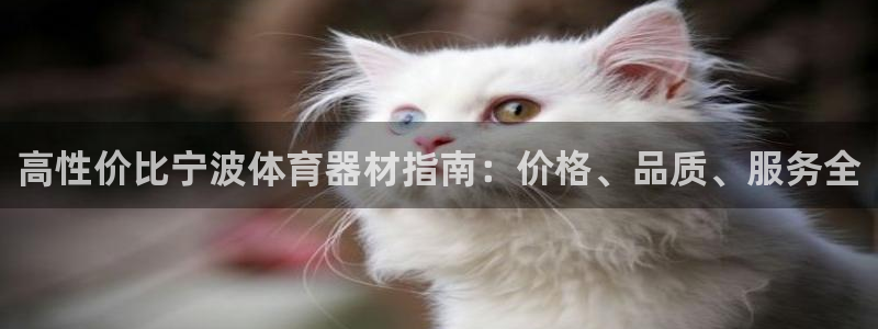 富联官网注册不了账号怎么办：高性价比宁波体育器材指南